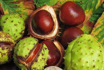 Se usan frutas de castaño de caballos en el tratamiento de la prostatitis